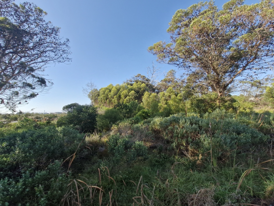 0 Bedroom Property for Sale in Bettys Bay Western Cape